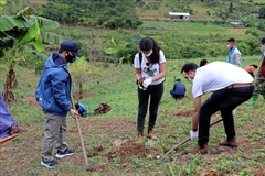 Israeli Embassy presents over 22,000 plants to farmers in Hoa Binh