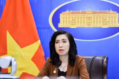 Citizen protection measures taken for Vietnamese worker in Saudi Arabia