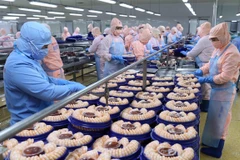 Vietnam looks to expand aquatic exports amid COVID-19 pandemic