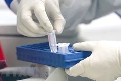 Hanoi collects COVID-19 testing samples related to Japanese patient