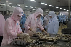 Vietnamese, US officials talk economic, trade issues