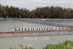 Tra Vinh to expand aquaculture area by 2,500 hectares to 2030