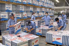 HCM City working hard to promote gender equality 