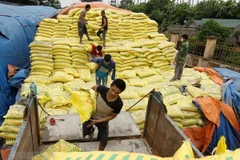 MoIT decides to impose self-defence measures on imported fertilisers