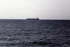 RoK launches search for missing Vietnamese sailor