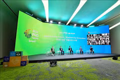 Vietnam affirms responsible contributions to climate change response