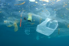 Vietnamese, French experts share experience in marine pollution control