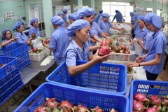 EU remains promising market for Vietnamese fruit