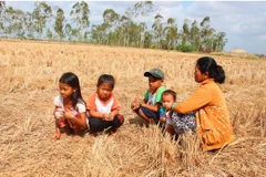 Mekong Delta faces serious challenges in water security ​