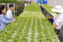 Criteria for recognition of high-tech agriculture zones