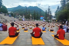 A mass yoga performance at the event (Photo: VNA)