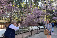 International tourist numbers are close to recovering to pre-pandemic levels and visitors are splashing more money in Australia. (Photo: VNA)