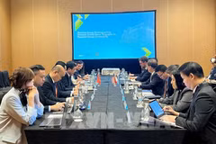 At the meeting between Vietnam, Singapore and the US on large-scale electricity export. (Photo: VNA)