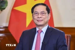 Foreign Minister Bui Thanh Son (Photo: VNA)