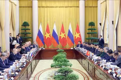 At the talks between Vietnamese President To Lam and his Russian counterpart Vladimir Putin in Hanoi on June 20. (Photo: VNA)