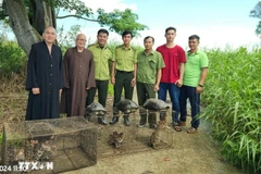 9 wild animals are released into the wild (Photo: VNA)