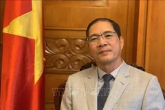 Vietnamese Ambassador to North Macedonia Do Hoang Long (Photo: VNA)