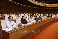 Deputies at the 7th session of the 15th NA (Photo: VNA)