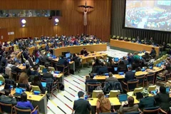 Participants at the plenary session of the United Nations General Assembly’s Sixth Committee. (Photo: VNA)