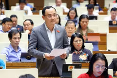 Deputy Nguyen Ngoc Son from Hai Duong province (Photo: VNA)