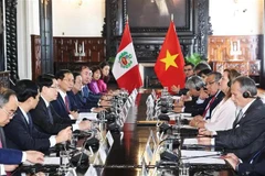 The talks between Vietnamese State President Luong Cuong and President of Peru Dina Ercilia Boluarte Zegarra. (Photo: VNA)