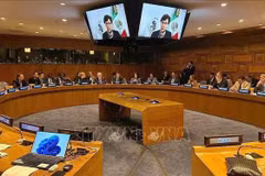 An overview of the high-level event organised by the UN Office on Drugs and Crime (UNODC) on the occasion of the International Day for Prevention and Fighting All Forms of Transnational Organised Crime (November 15). (Photo: VNA)