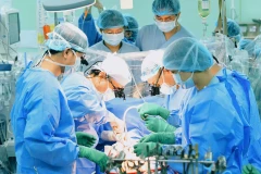 Vietnam achieves extraordinary feats in organ transplantation