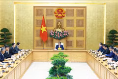 At the reception for newly-appointed Chinese Ambassador to Vietnam He Wei (Photo: VNA)