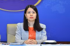Deputy Foreign Minister Nguyen Minh Hang (Photo: VNA)