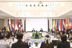 An overview of the 19th Meeting of the Working Group on the ASEAN Forum on Taxation in Luang Prabang province of Laos. (Photo: VNA)