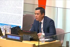 Ambassador Dang Hoang Giang, Permanent Representative of Vietnam to the UN (Photo: VNA)
