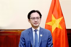 Deputy Minister of Foreign Affairs Do Hung Viet (Photo: Ministry of Foreign Affairs)