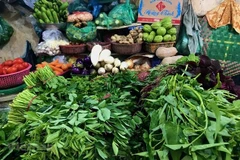 Nine of the 11 categories of goods and services see price hikes in September. (Photo: VietnamPlus)