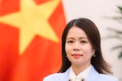 Deputy Minister of Foreign Affairs Nguyen Minh Hang (Photo: VNA)