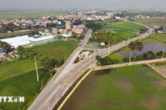 In Hanoi's outlying district of Thuong Tin (Photo: VNA)