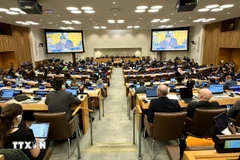 Vietnam calls for continuous goodwill implementation of UNCLOS