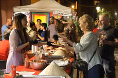 Vietnamese culture shines at Italian ethnic culture festival