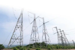 A remarkable milestone in the electricity sector