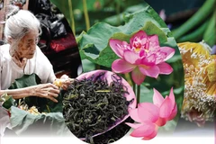Quang An lotus-scented tea making craft listed among national intangible cultural heritage