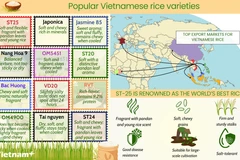 Popular Vietnamese rice varieties on global market 