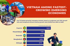 Vietnam among fastest-growing emerging economies 