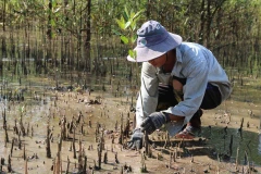 Environmental protection for sustainable development 