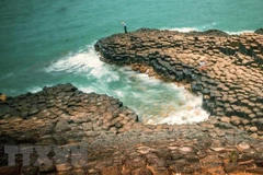 Film industry – door to promote tourism