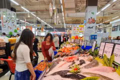 Revised Capital Law: Opening new opportunities for economic growth