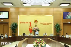 National Assembly Chairman Tran Thanh Man speaks at the meeting. (Photo: VNA)