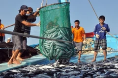 Fishermen in the central coastal province of Khanh Hoa. (Photo: VNA)