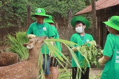 Young people participate in the experience programme "Cuc Phuong Camp 2024" at Cuc Phuong National Park in the northern province of Ninh Binh (Photo: VNA)
