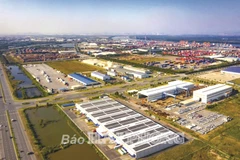 At Dinh Vu - Cat Hai Economic Zone (Photo: baohaiphong.vn)