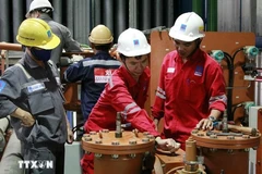 A team of engineers is inspecting and maintaining equipment at the Nhon Trach 2 power plant. (Photo: VNA) 