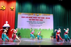An performance at the event (Photo: VNA)